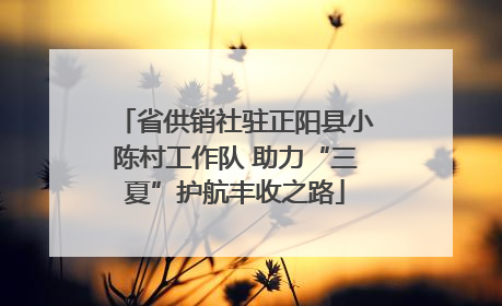 省供销社驻正阳县小陈村工作队 助力“三夏”护航丰收之路